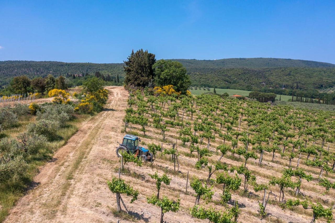 Agriturismo Il Casolare Di Bucciano Villa San Gimignano Buitenkant foto